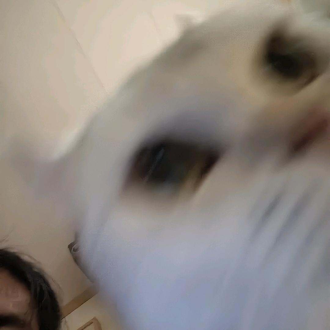 专辑