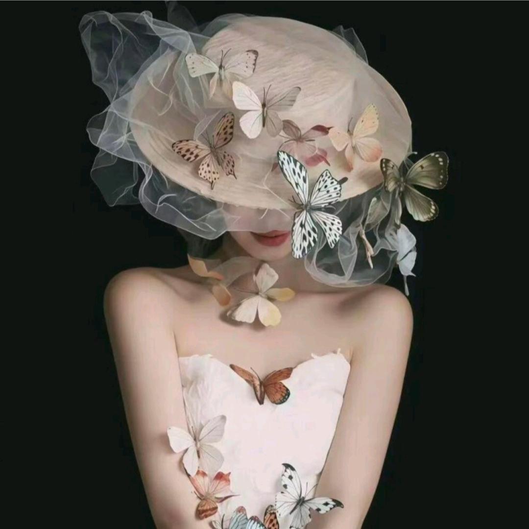 贝壳🐚
