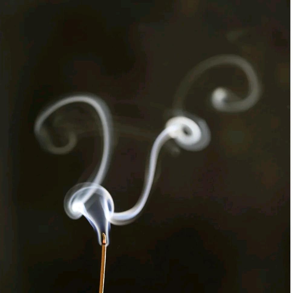 丹晨老师恒知教育学历提升