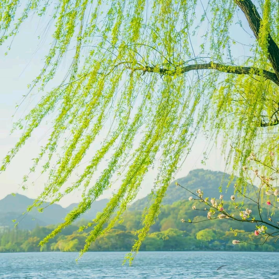 吃根辣条压压惊