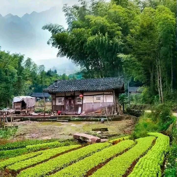 梦想有个家