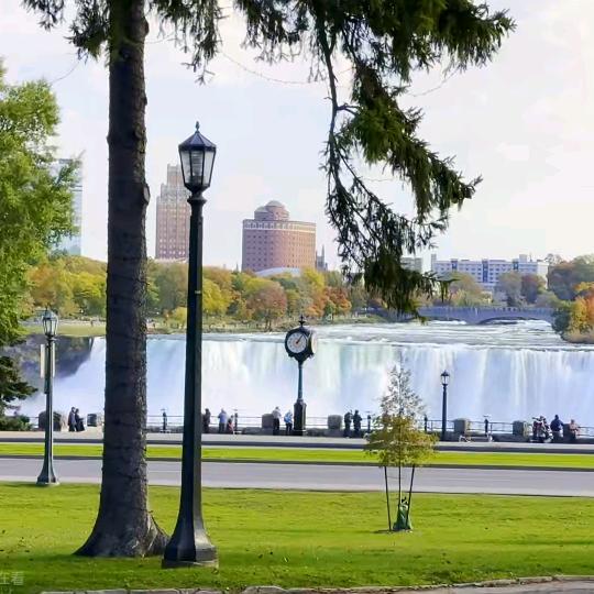 ༺ 深夜饮酒 ༻