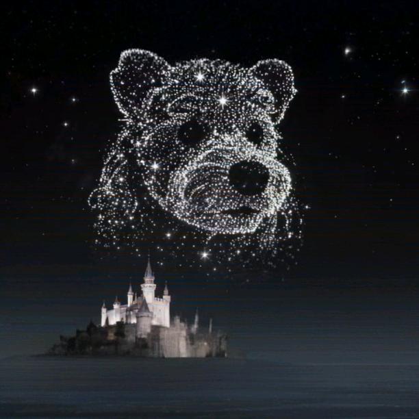 养狗人的快乐🐶（山西）