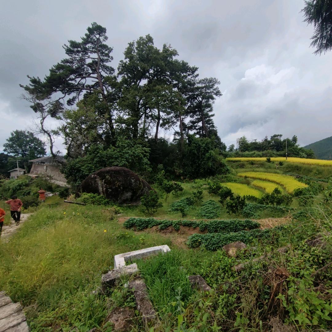 断天涯