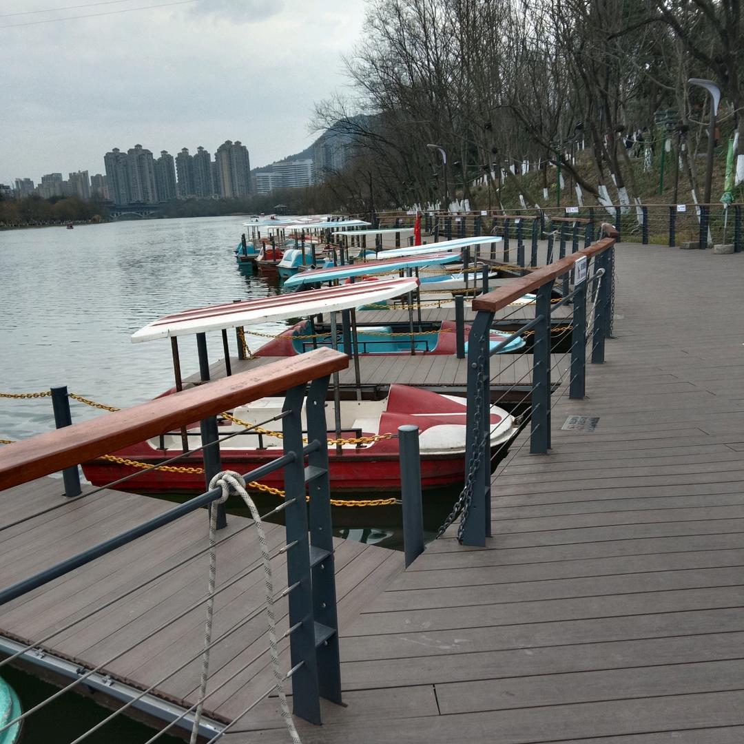东方龙哥