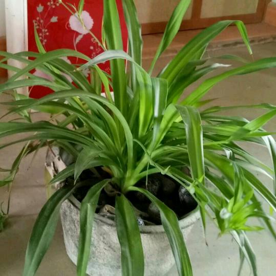 风雨同舟，感恩有你