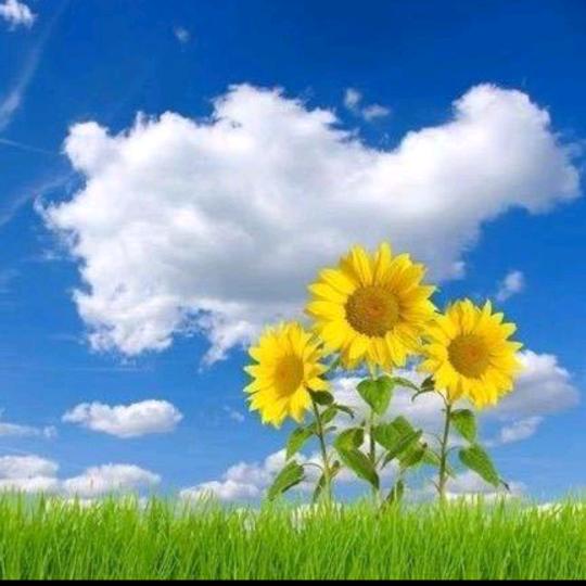 ღ᭄💞ঞ天🍬意💗᭄