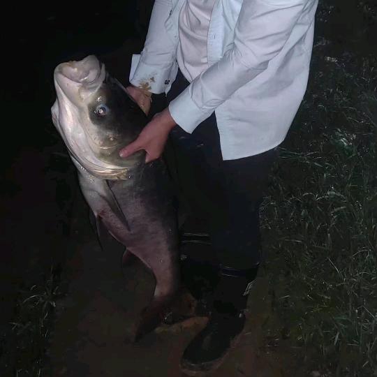 束负钓鱼（钓中学）