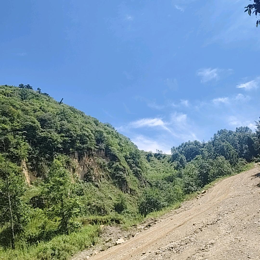 老杨汽修服务部