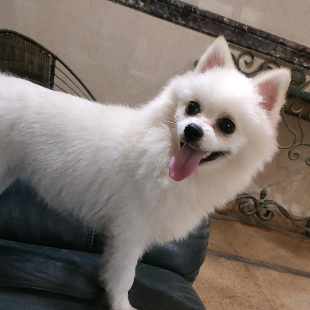 ༼ཽ༉ꫛ普通人এۣ࿐