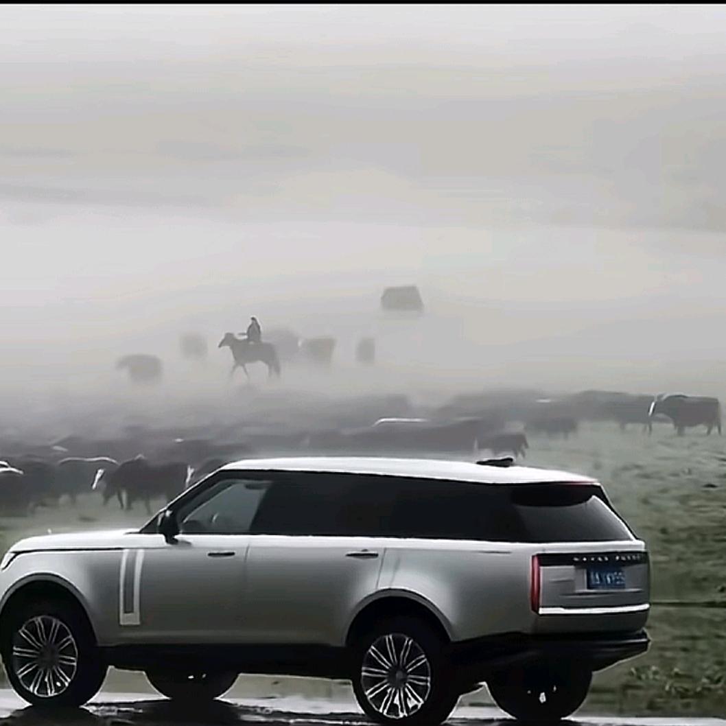 LAND  ROVER🤑