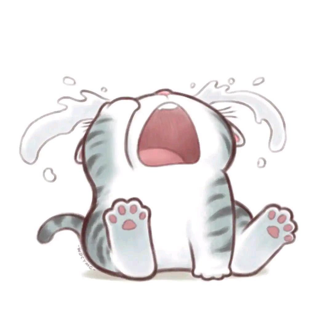 摸鱼的Hr