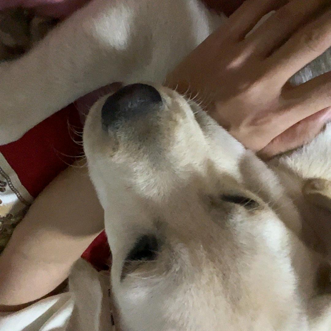 哥的青春你来买单