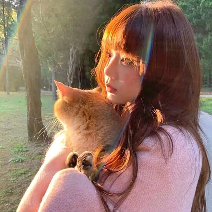 浅玖.