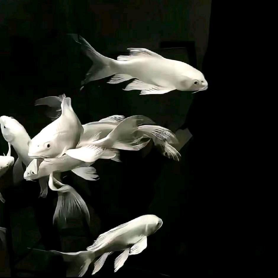 浩ㅤ