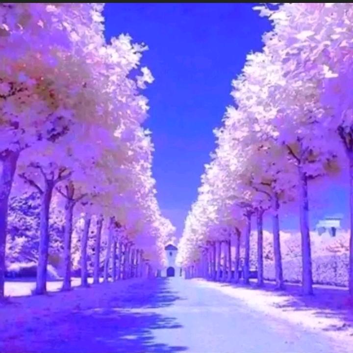 ❤️相逢是缘🌺