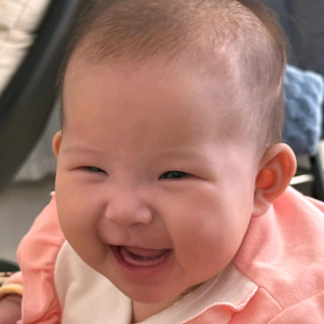 真善美