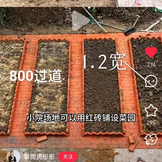 兵哥哥