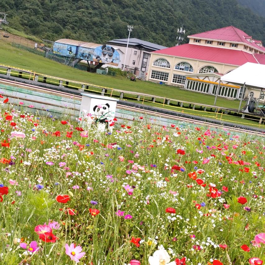 用户8725253501109尖果挂起来