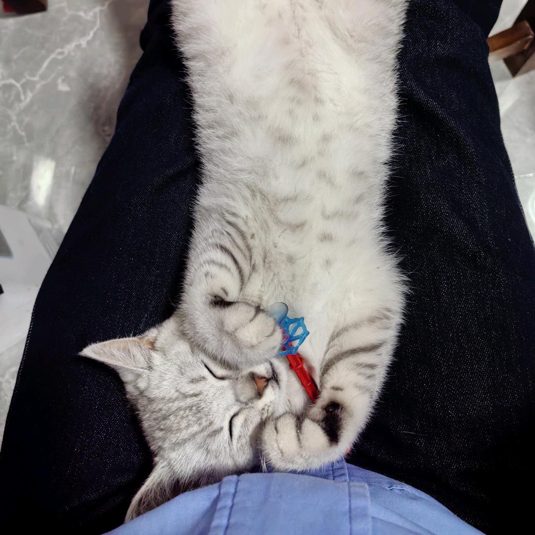 @丘比特的丘