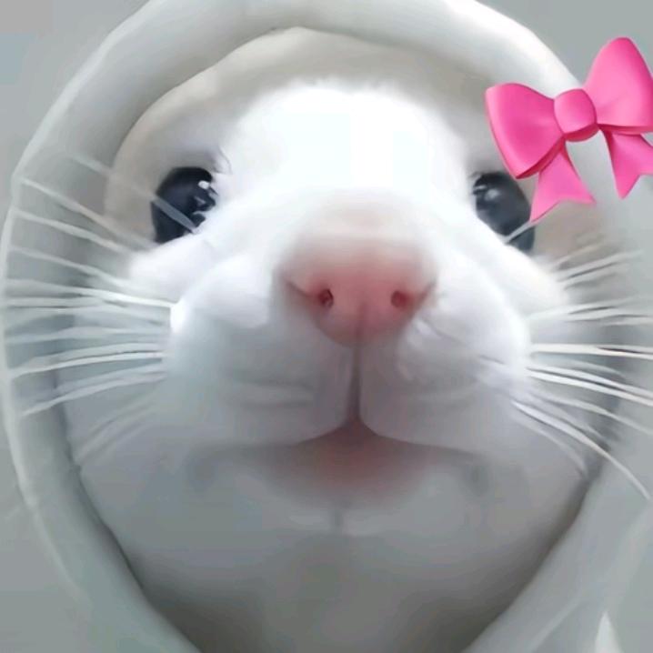 小葵..