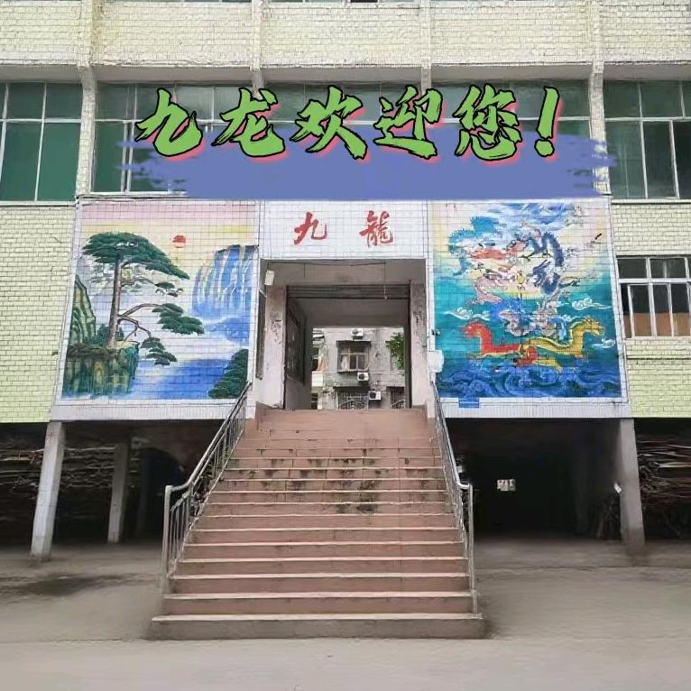 九龙社区日常记