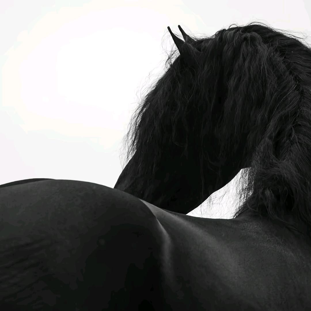 许个愿