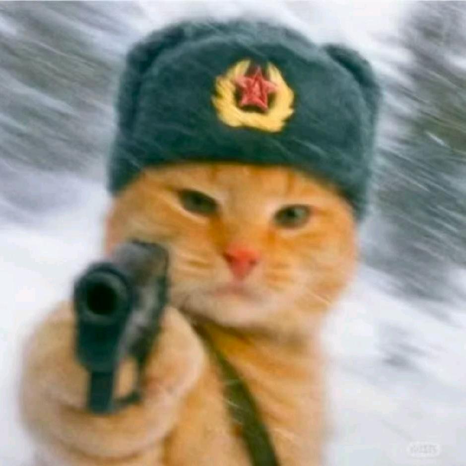 猩猫-信封
