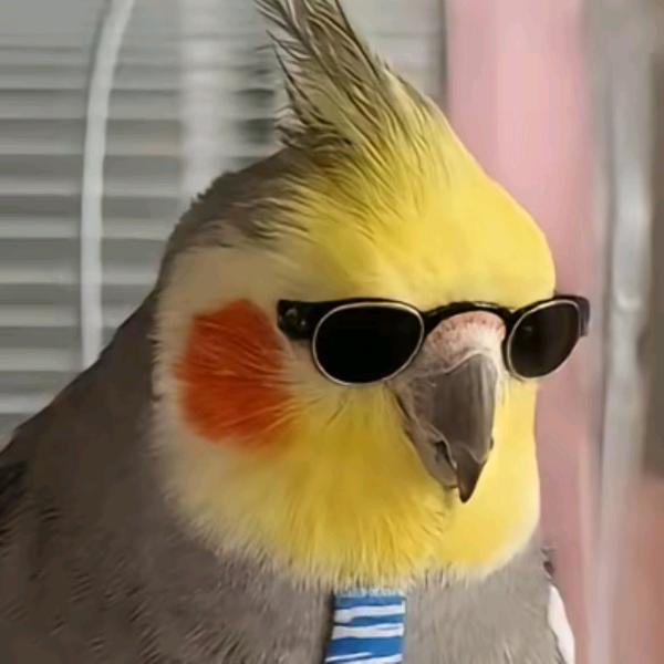 C_Jaa