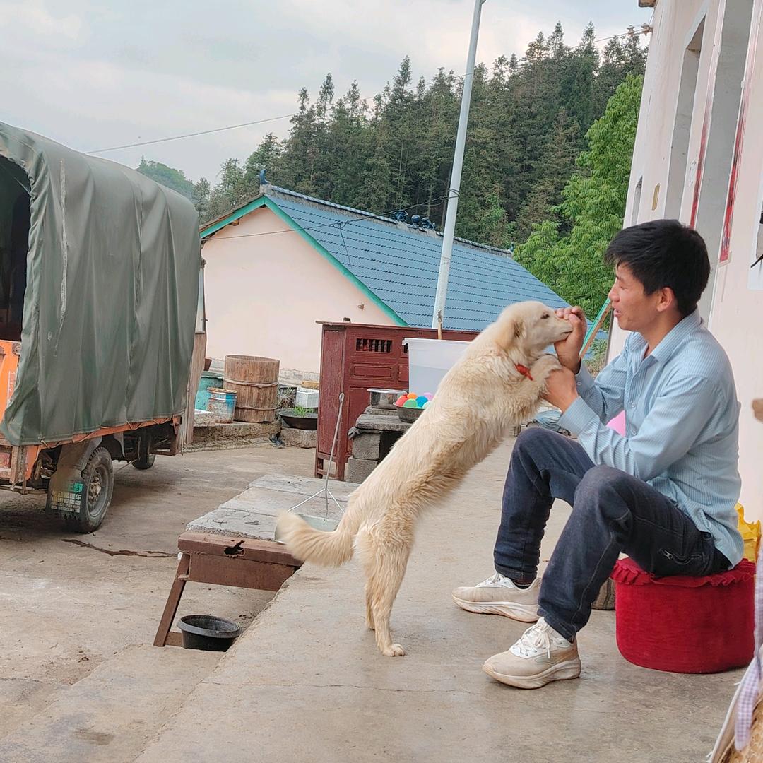 再来一瓶（王小正）