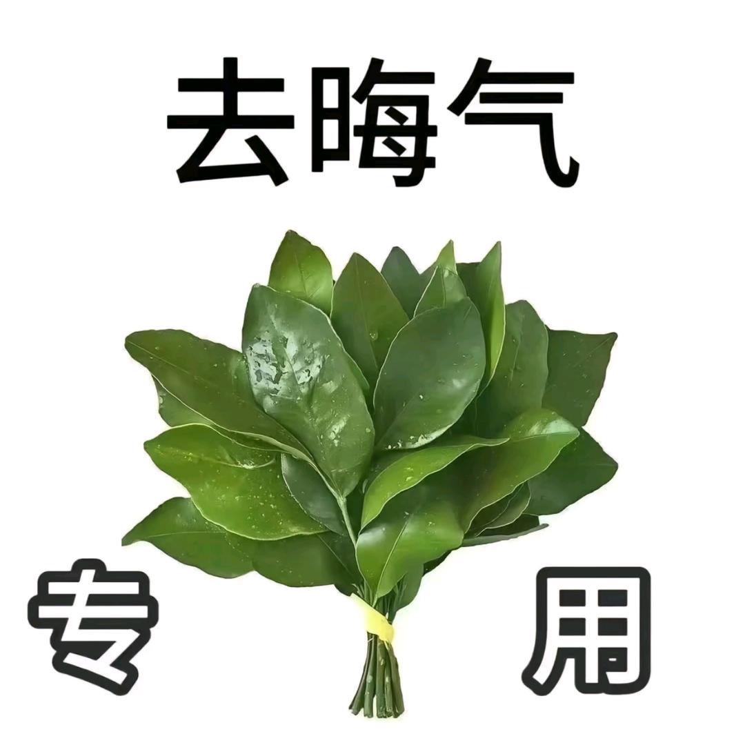 颜晓茹