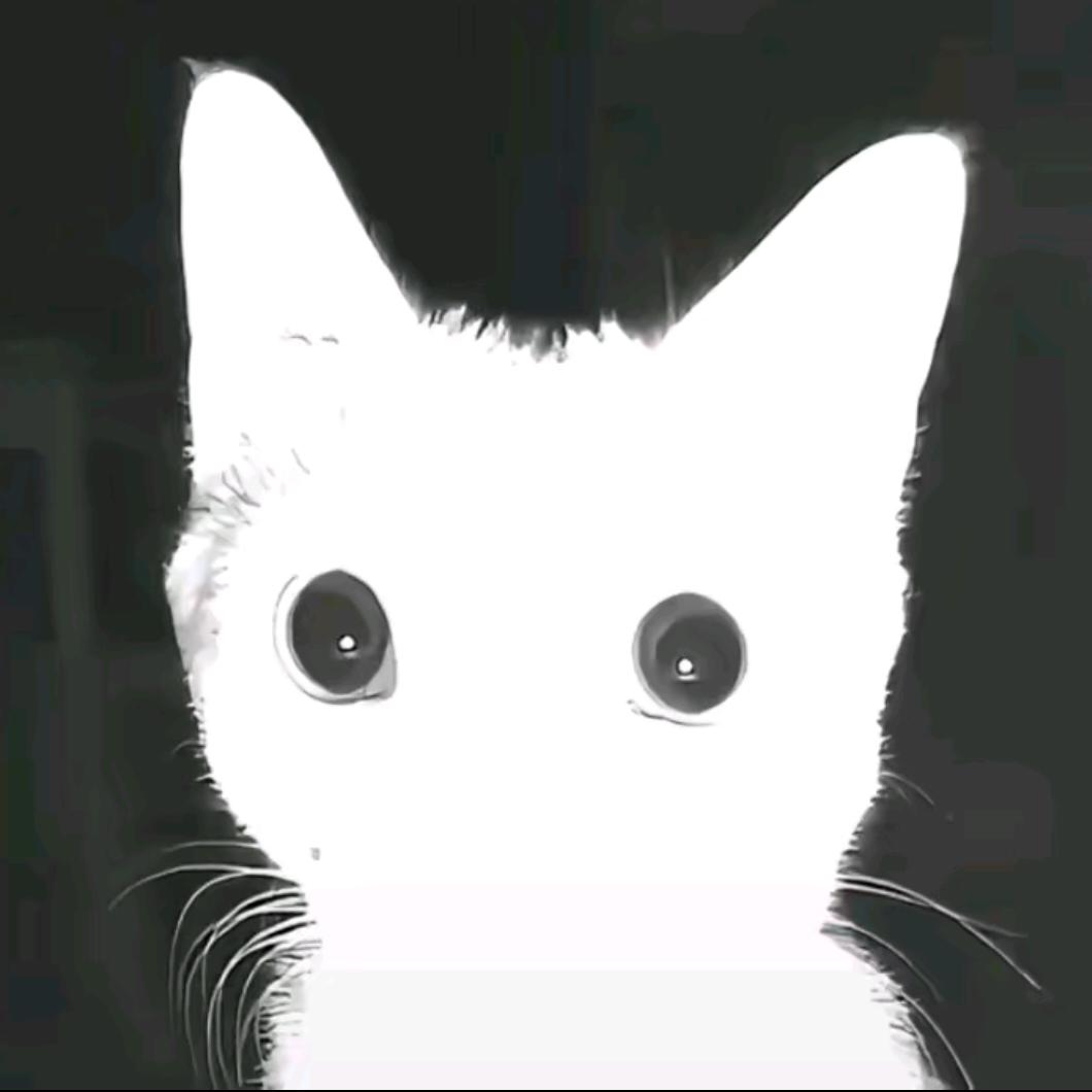 不抽香烟