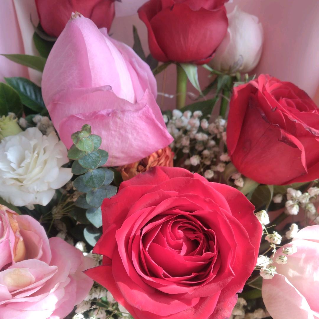 开心过好每一天