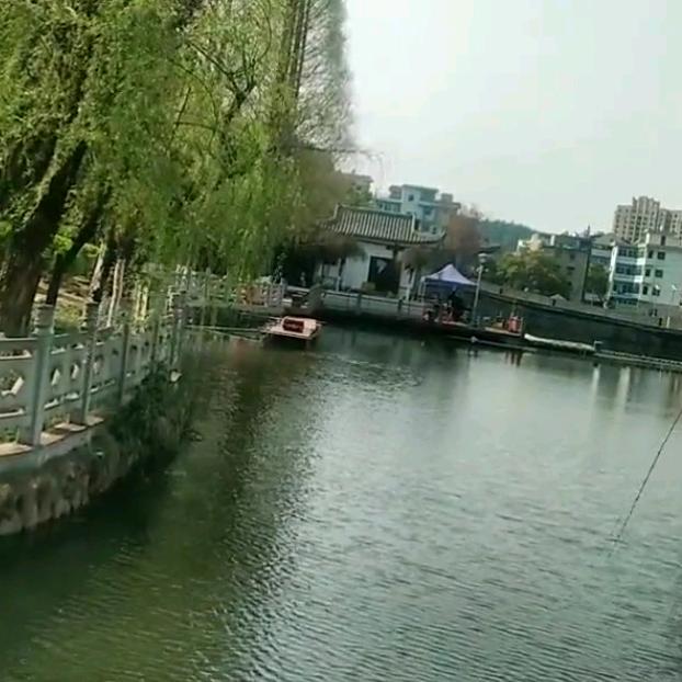 陌然浅笑