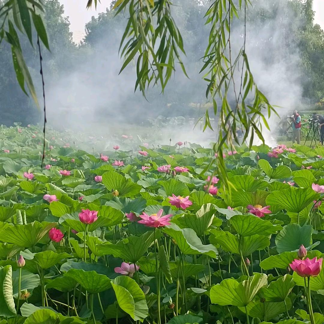 回眸相视