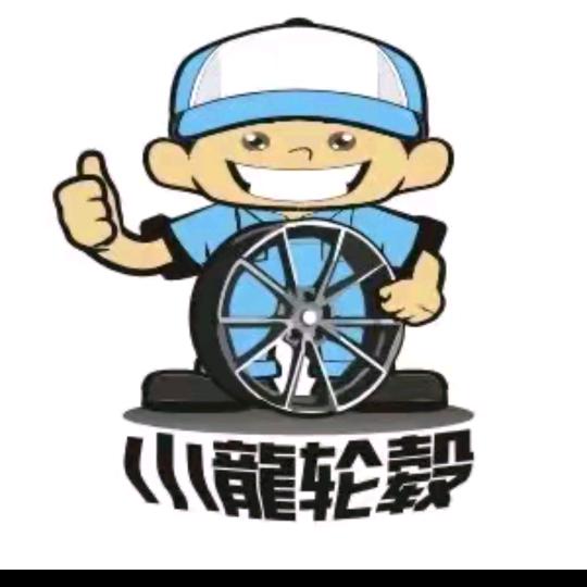 小龙轮毂总部12号小鹏