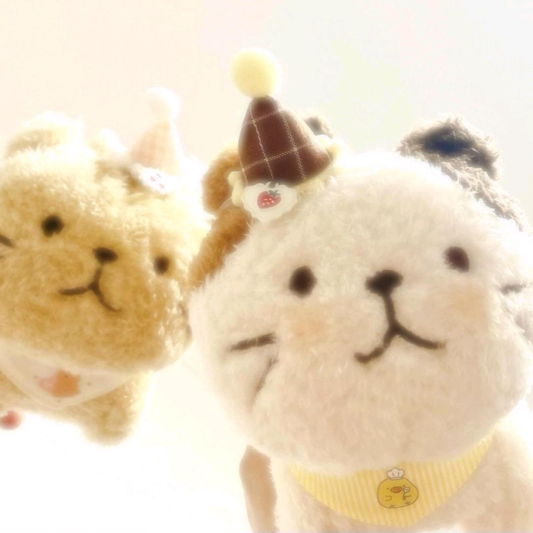 人累无法交流ㅤ  ㅤ