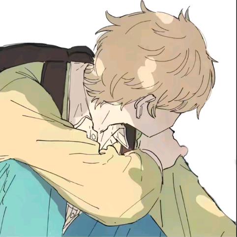 狐狸hl
