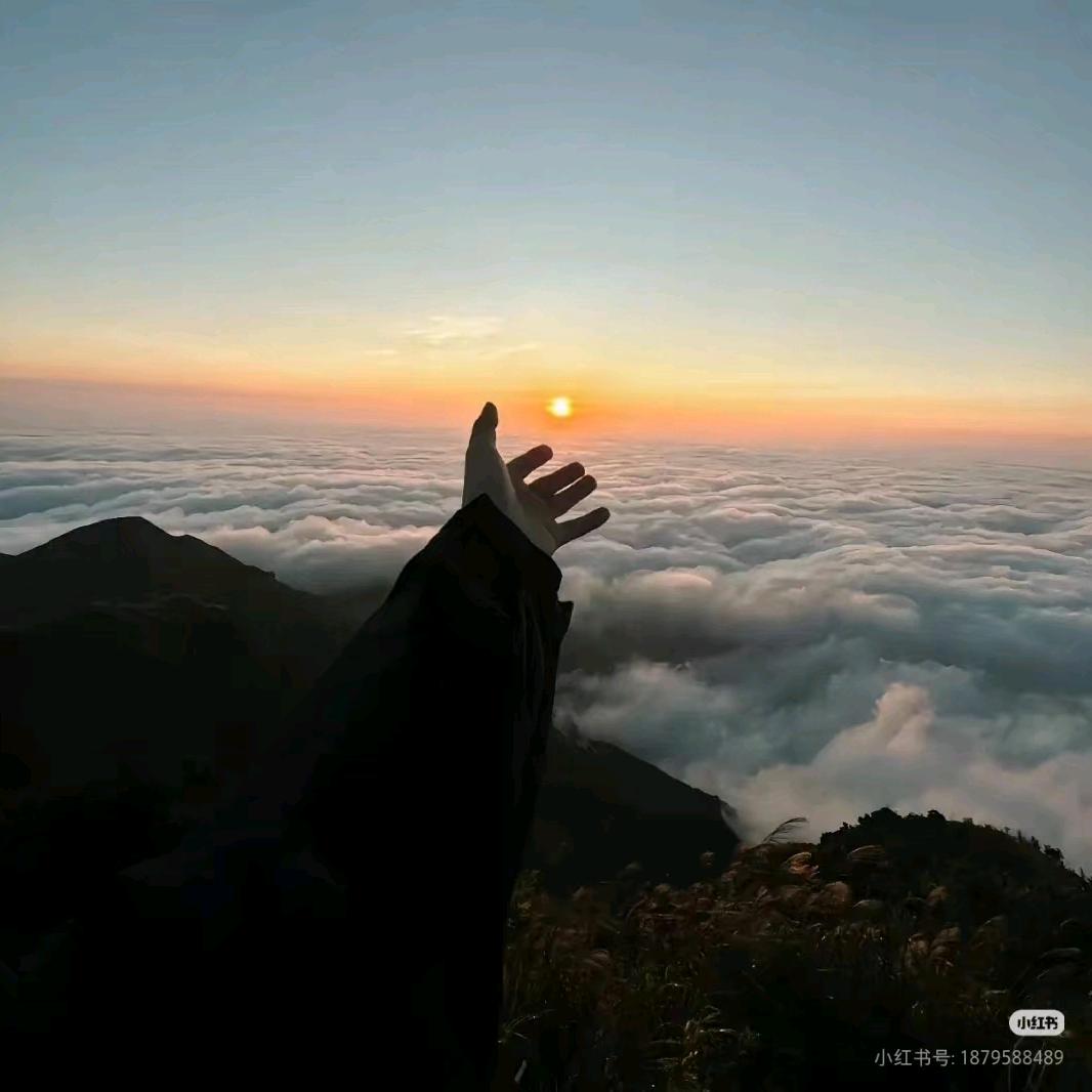 ℳ๓清辞°ꦿ⁵²º᭄