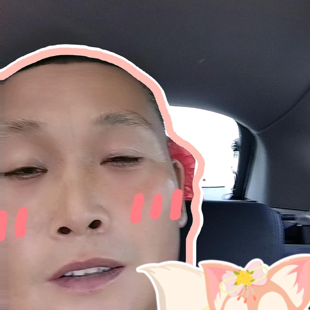 自由飞翔