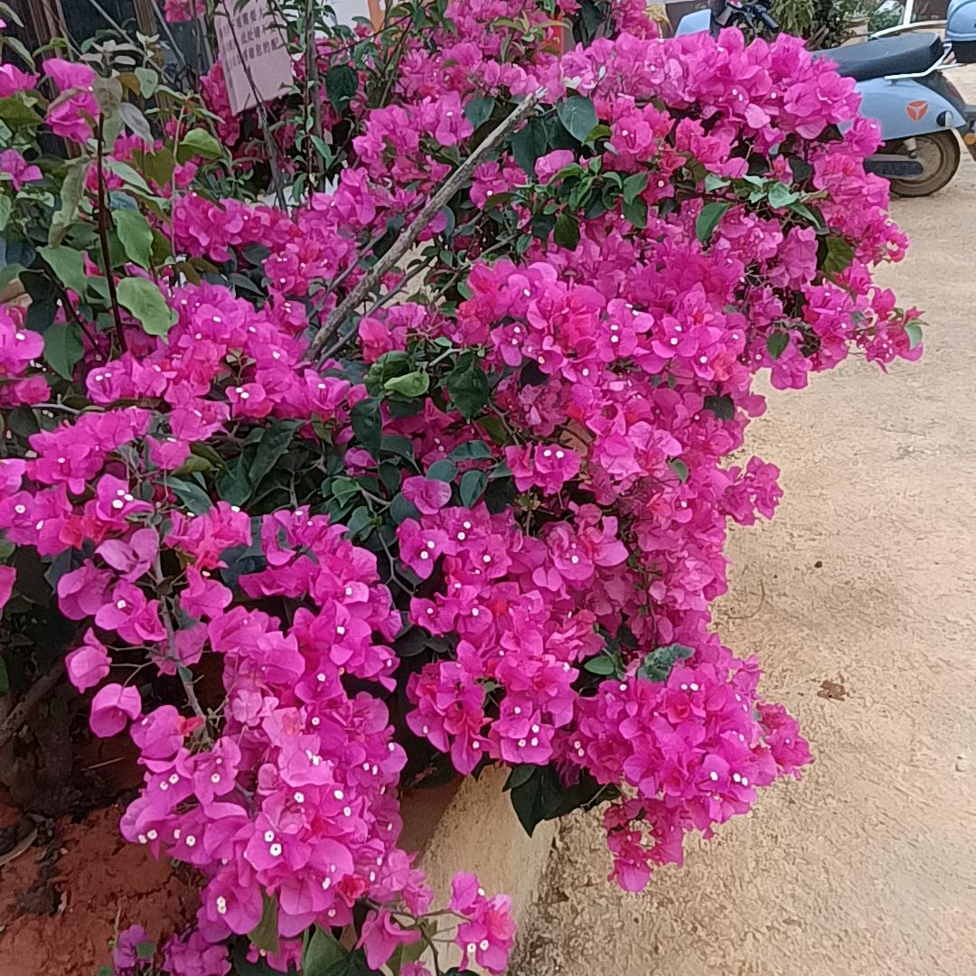 湘E5E