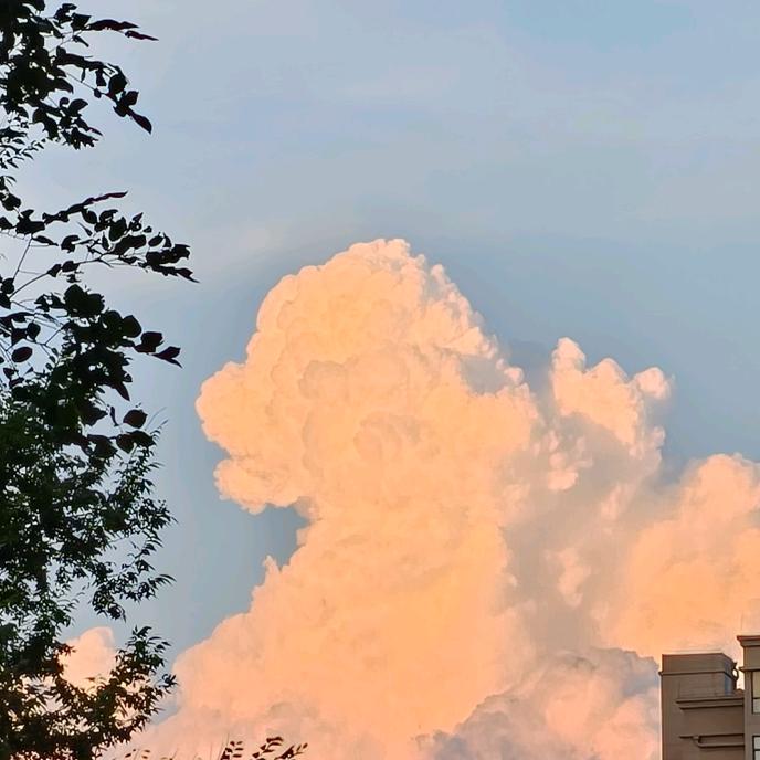 想不出网名的小刘