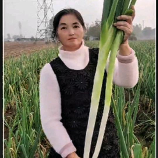 济南章丘增宝农副产品优品小铺