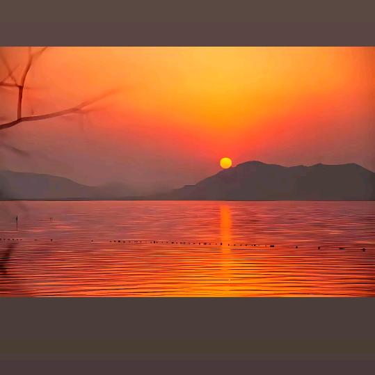 你通讯录的好友