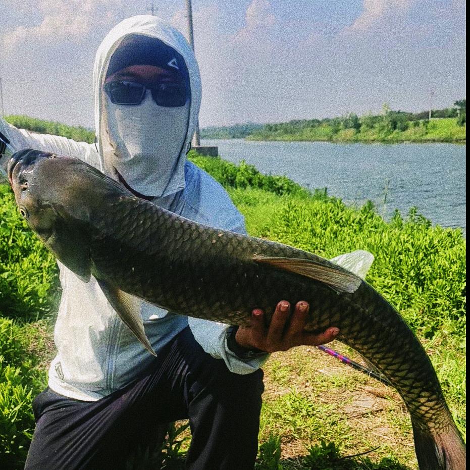 邢江河钓鱼  🐟