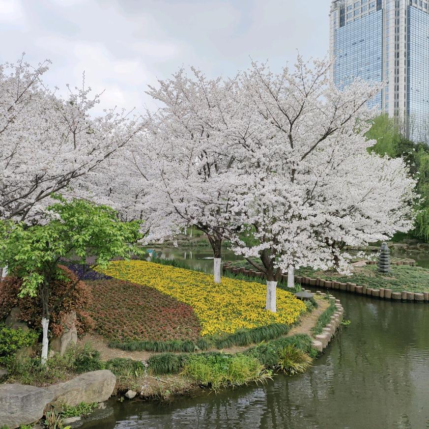 宁波～男士🐏护+收徒