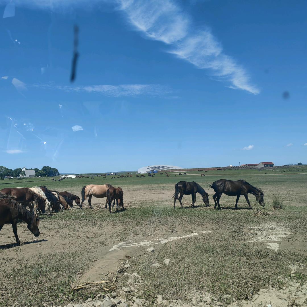 💕᭄ꦿ很幸运ོ࿆遇见你᭄🕊