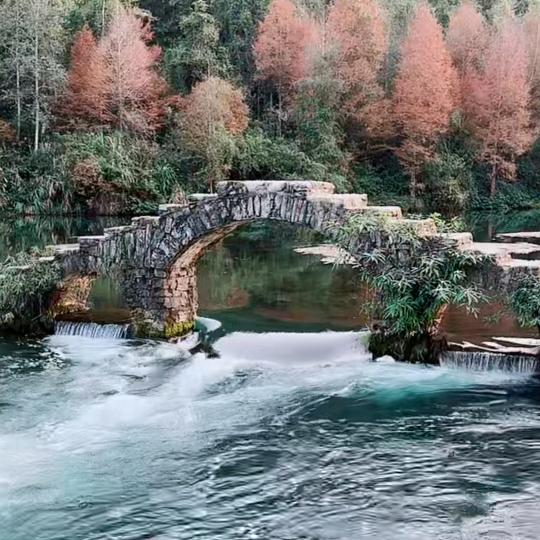 人已远情难追。