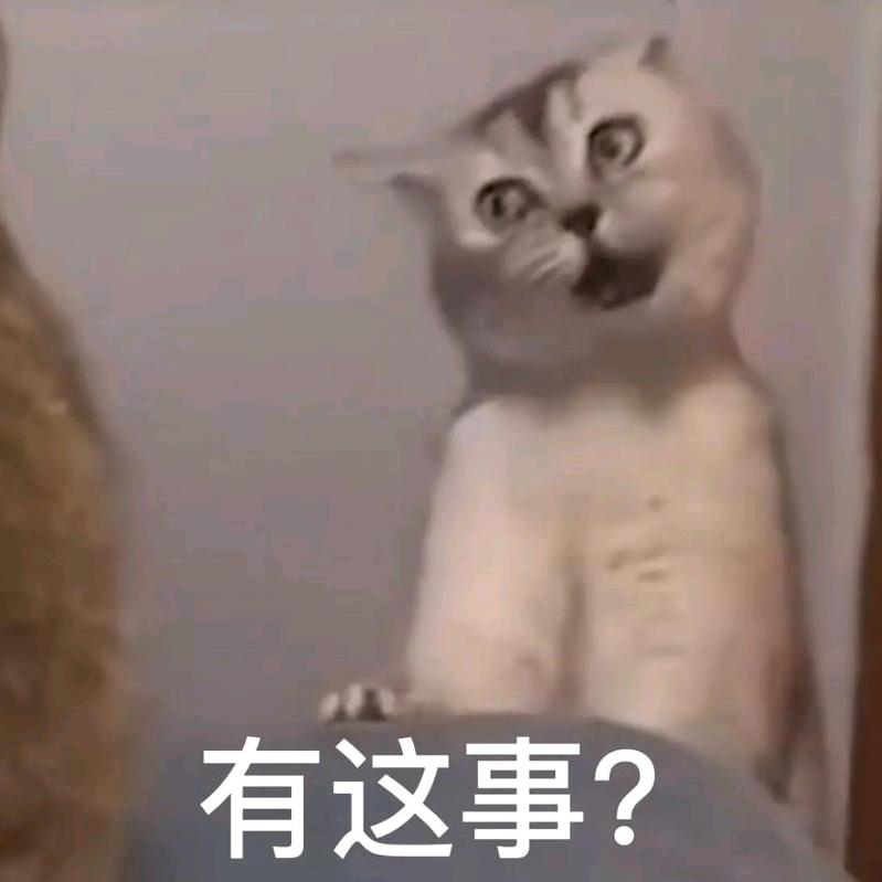 不知名网红