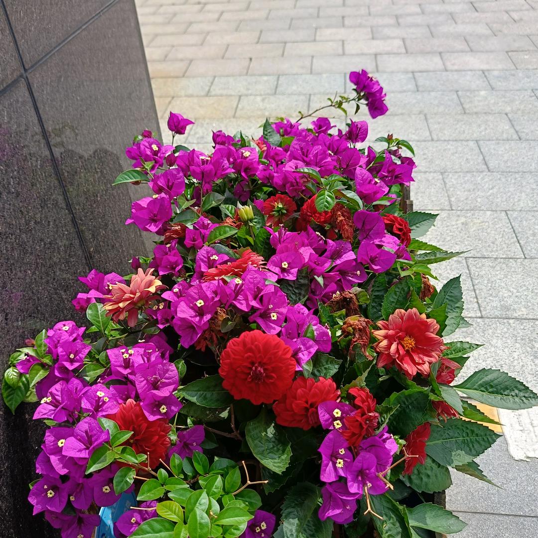 幸福永久🌹🌹